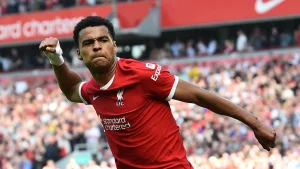 Disseny sense titol 90