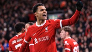 Cody Gakpo. Credit: Transfermarkt