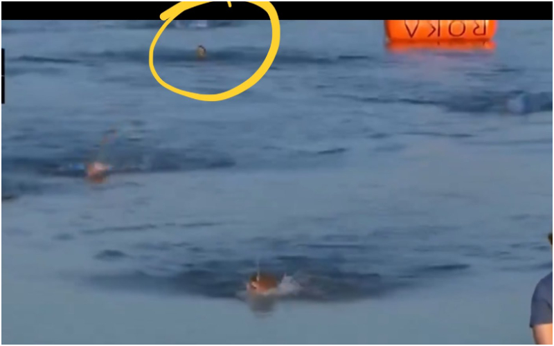Swimming (X)