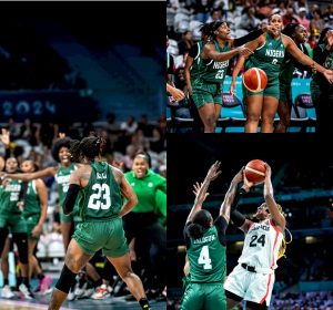 tigress e1722781356237