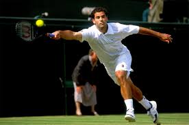 From Courts to Fortunes: The Richest Tennis Players and Their Dominating Endorsements 1 Richest tennis players
