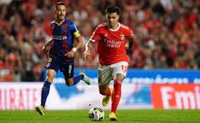 Enzo Fernández net worth